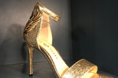 FS-Gold-shoe