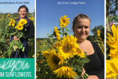 Sunflowers-FB-thanks