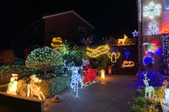 Ray Luker Christmas garden