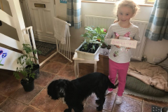 Tilly-and-dog-3