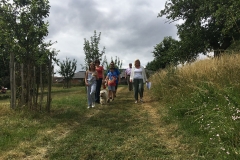 Family-stroll