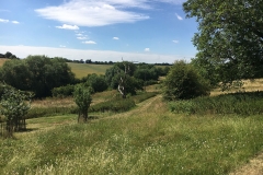 SHn-Family-walk-landscape