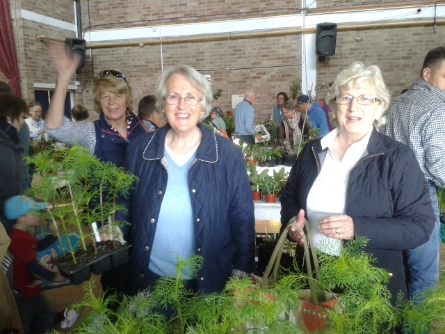 plant sale