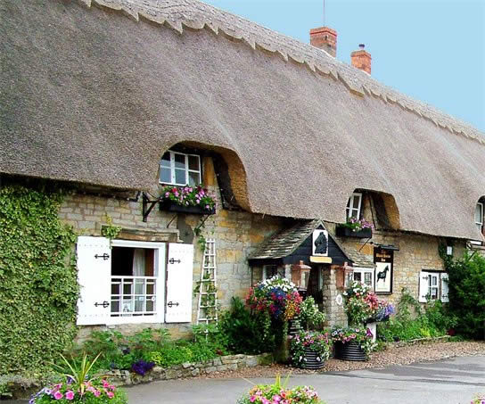 blackhorse_front