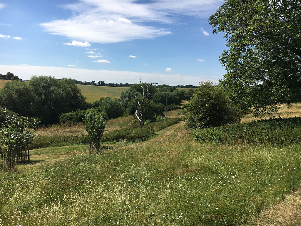 SHn-Family-walk-landscape