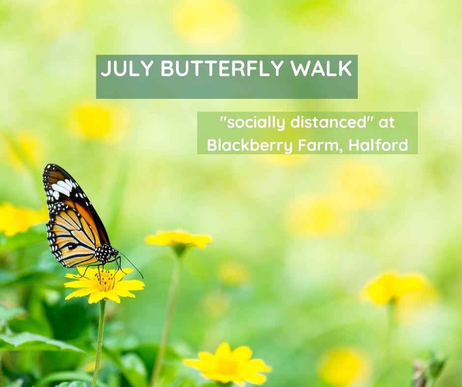 Butterfly Walk