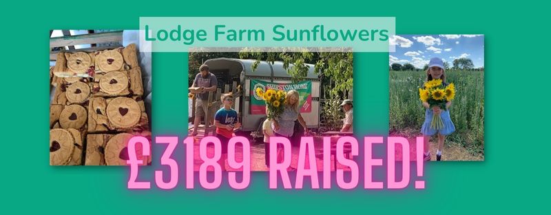 Lodge Farm Sunflowers raise £3189