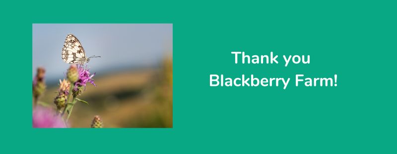 Thank you Blackberry Farm