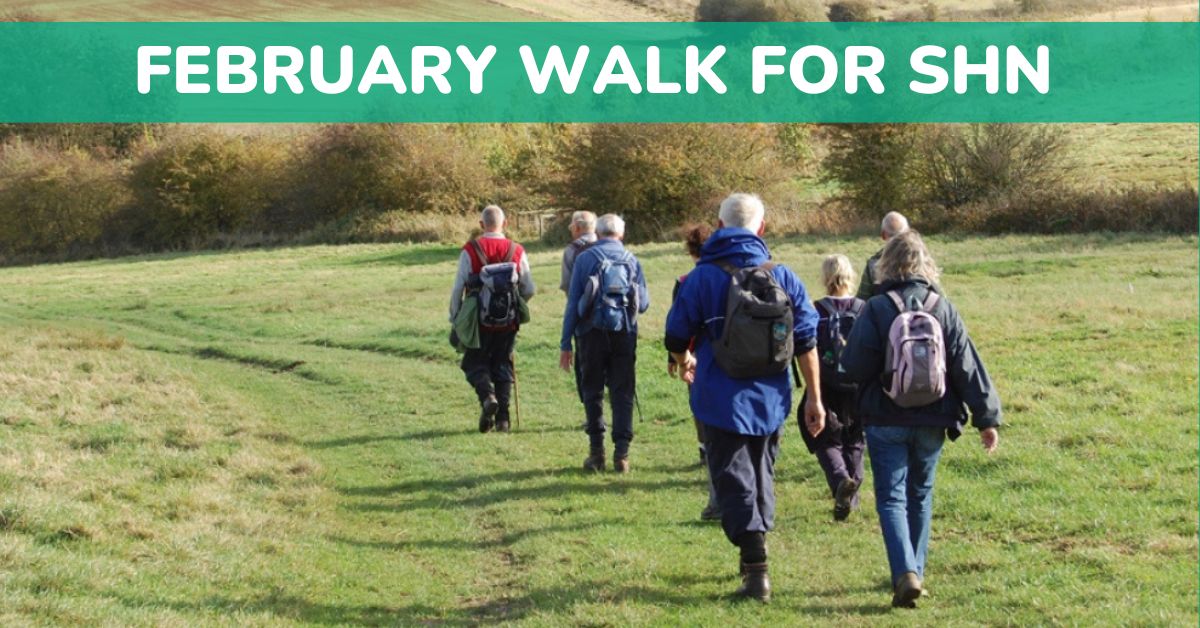 Featured image for February walk
