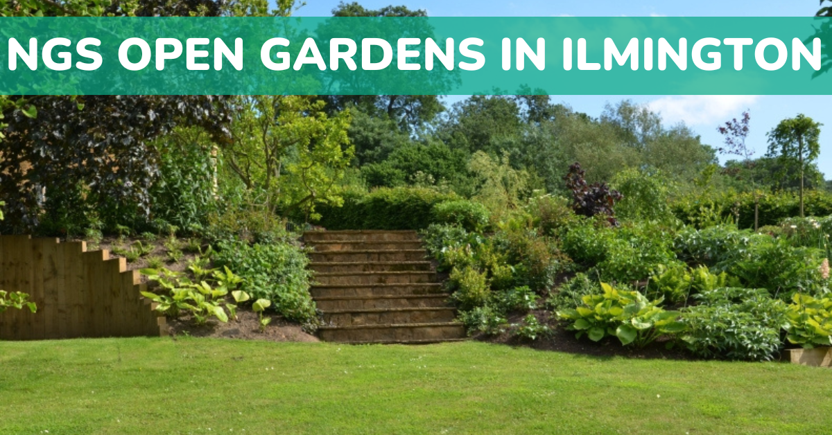 NGS Ilmington
